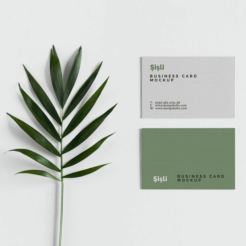 Free Minimalistic Business Card Mockup PSD