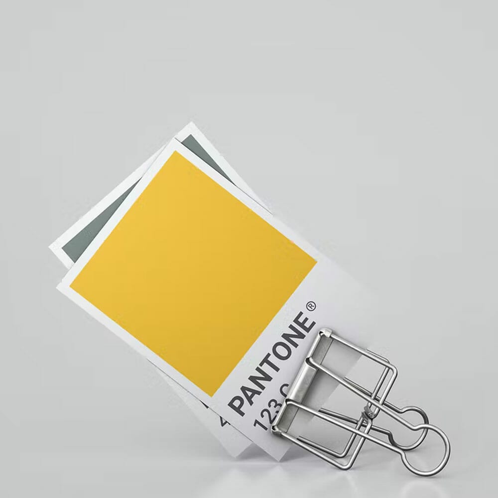 Free Pantone Card Mock-up