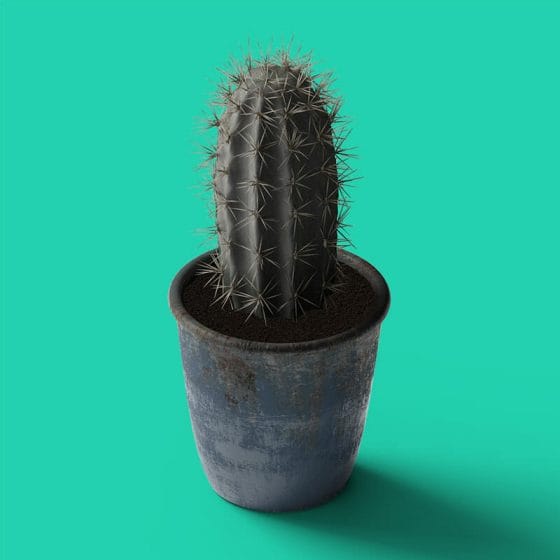 Free Cactus In Pot Mockup