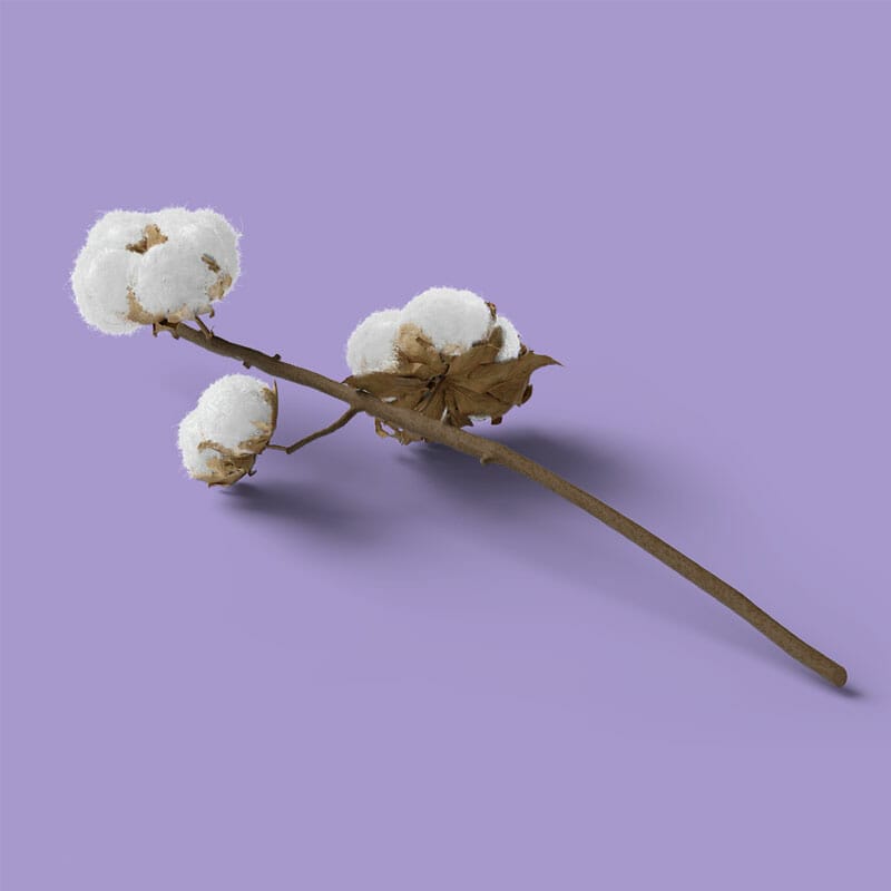 Free Cotton Mockup Isometric