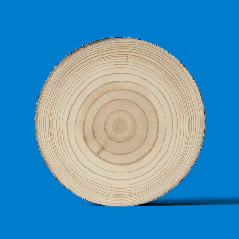 Free Front View Log Mockup