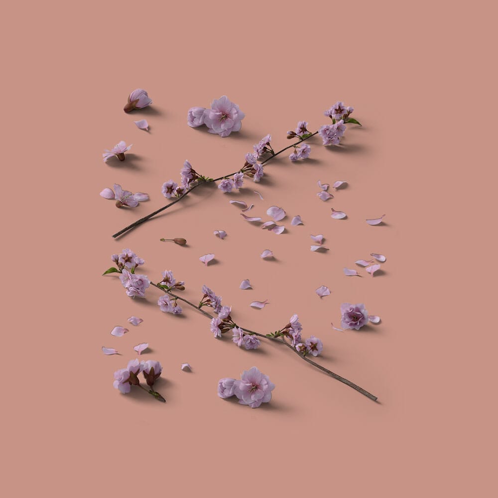 Free Heather Isometric Mockup