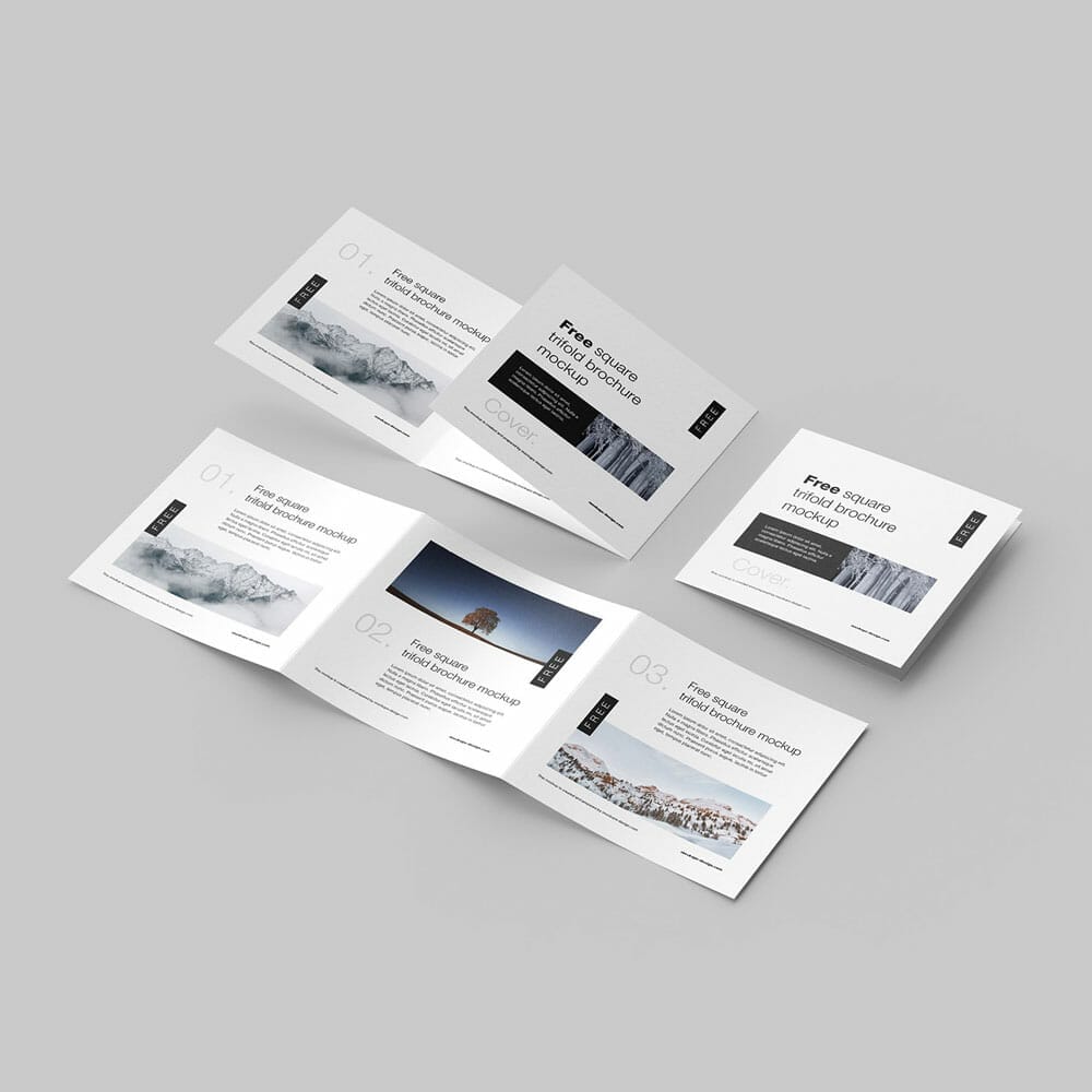 Free Square Trifold Flyer Mockup