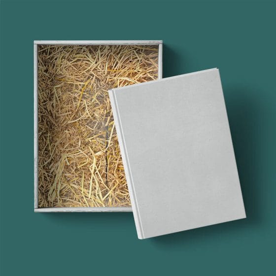 Free Box With Hay And Book Mockup Top View