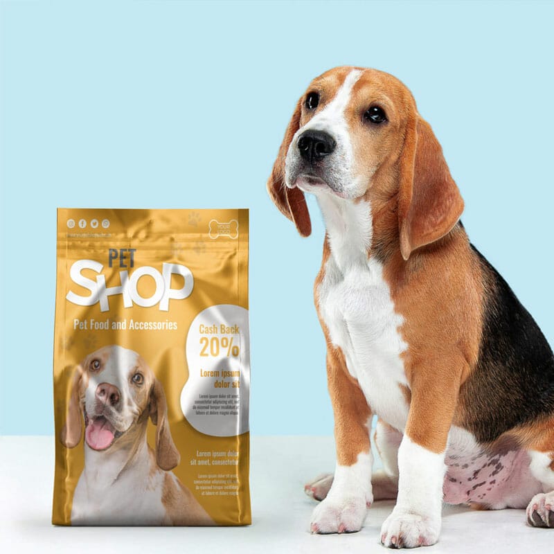 Free Dog Bowl PSD Template