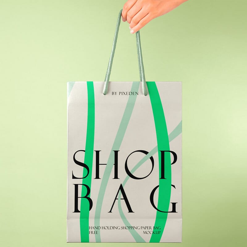 Free Hand Holding Paper Bag PSD Mockup