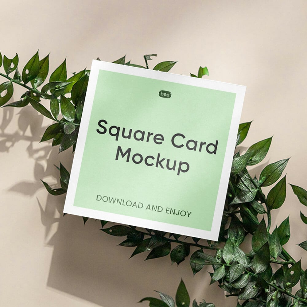 Free Square Card On Plant Mockup