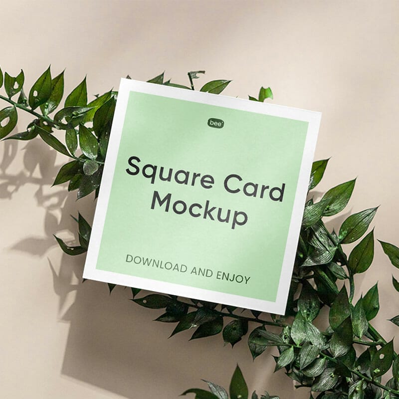 Free Square Card On Plant Mockup