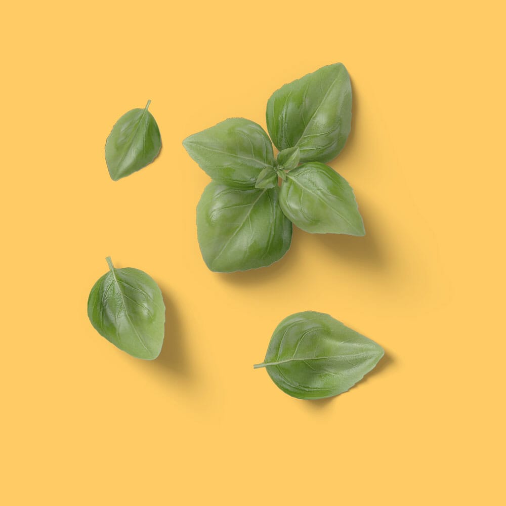 Free Basil Leaves Mockup Top View PSD