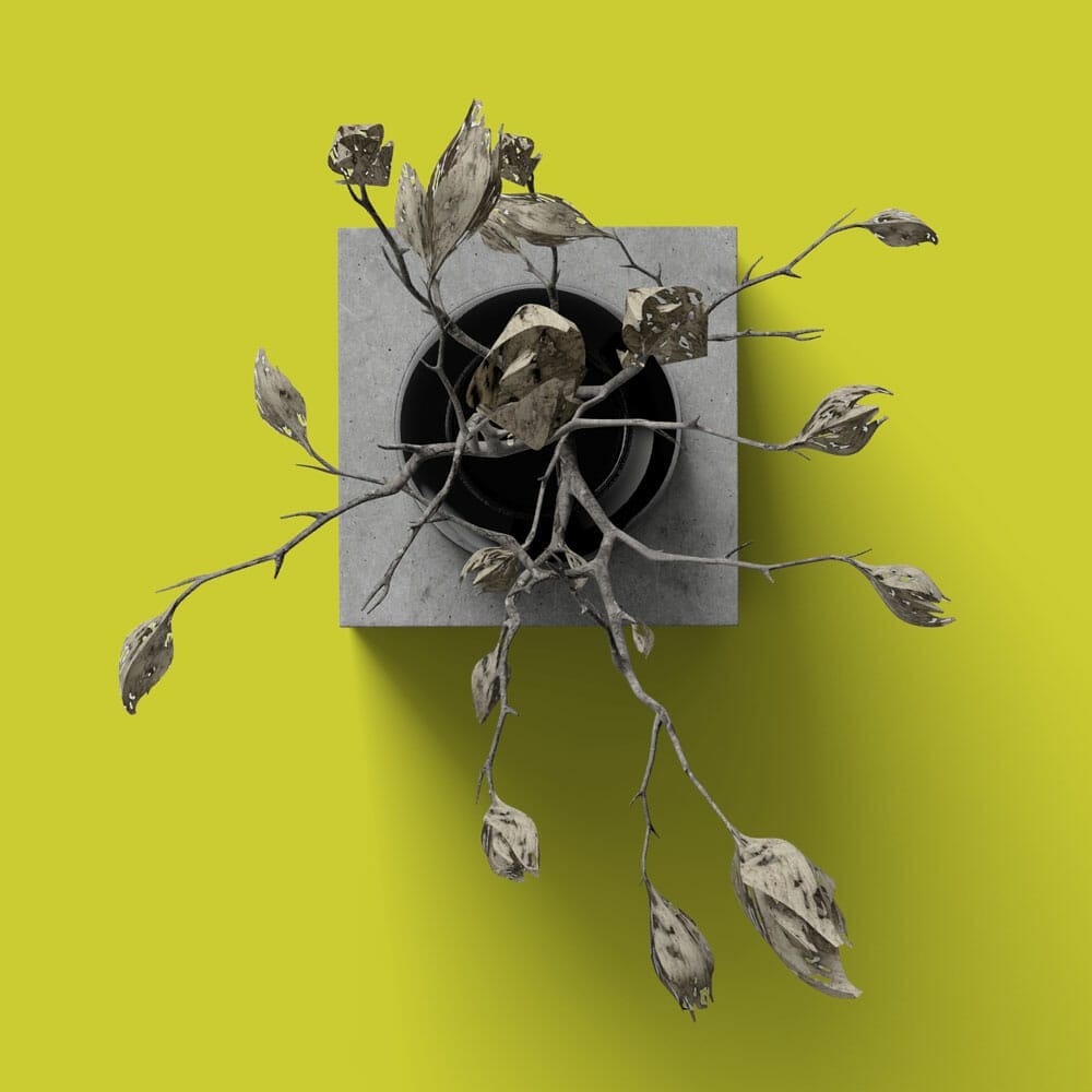 Free Dry Plant On Vase Mockup Top View PSD