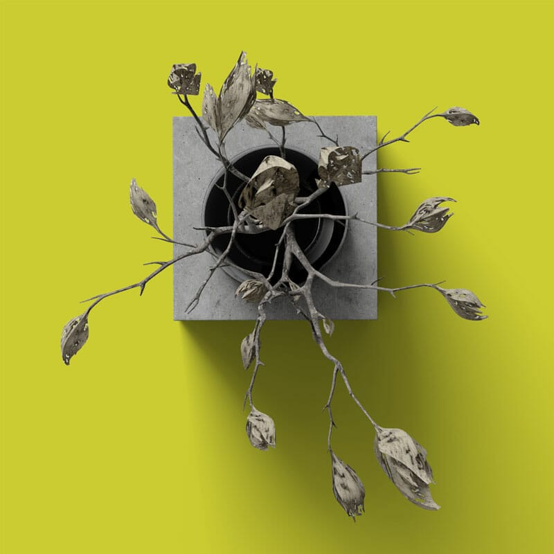 Free Dry Plant On Vase Mockup Top View PSD