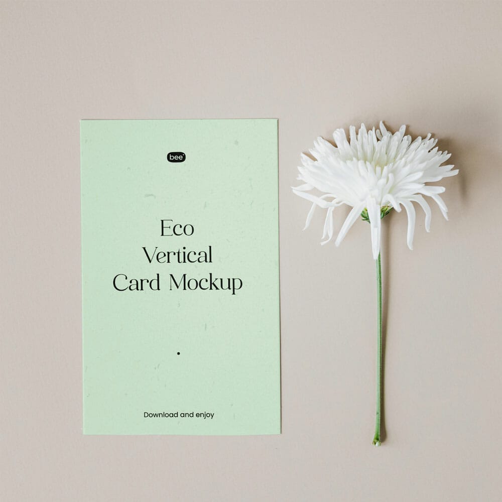 Free Paper Card With Daisy Mockup