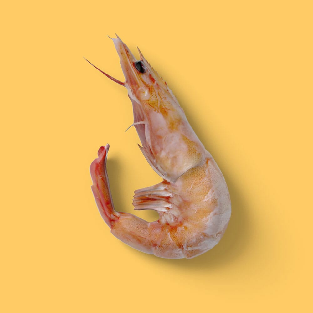 Free Shrimp Top View Mockup PSD