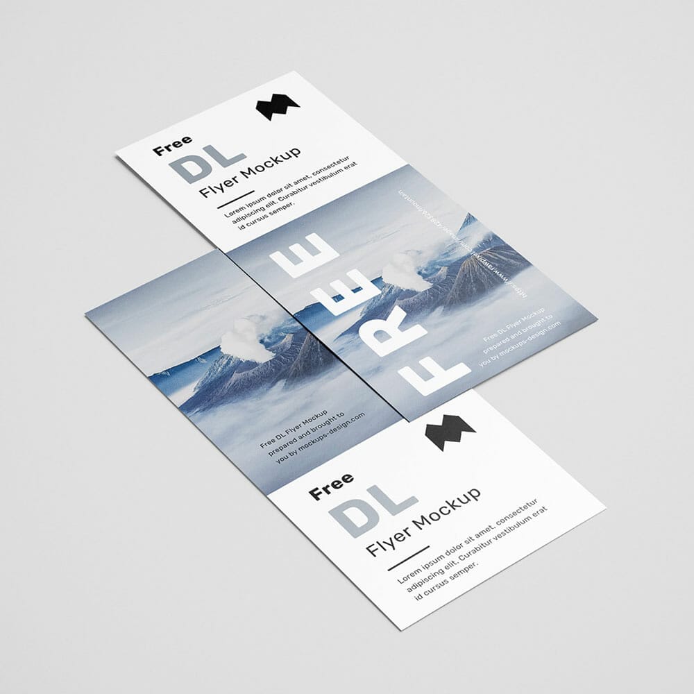 Free Simple DL Flyers Mockup