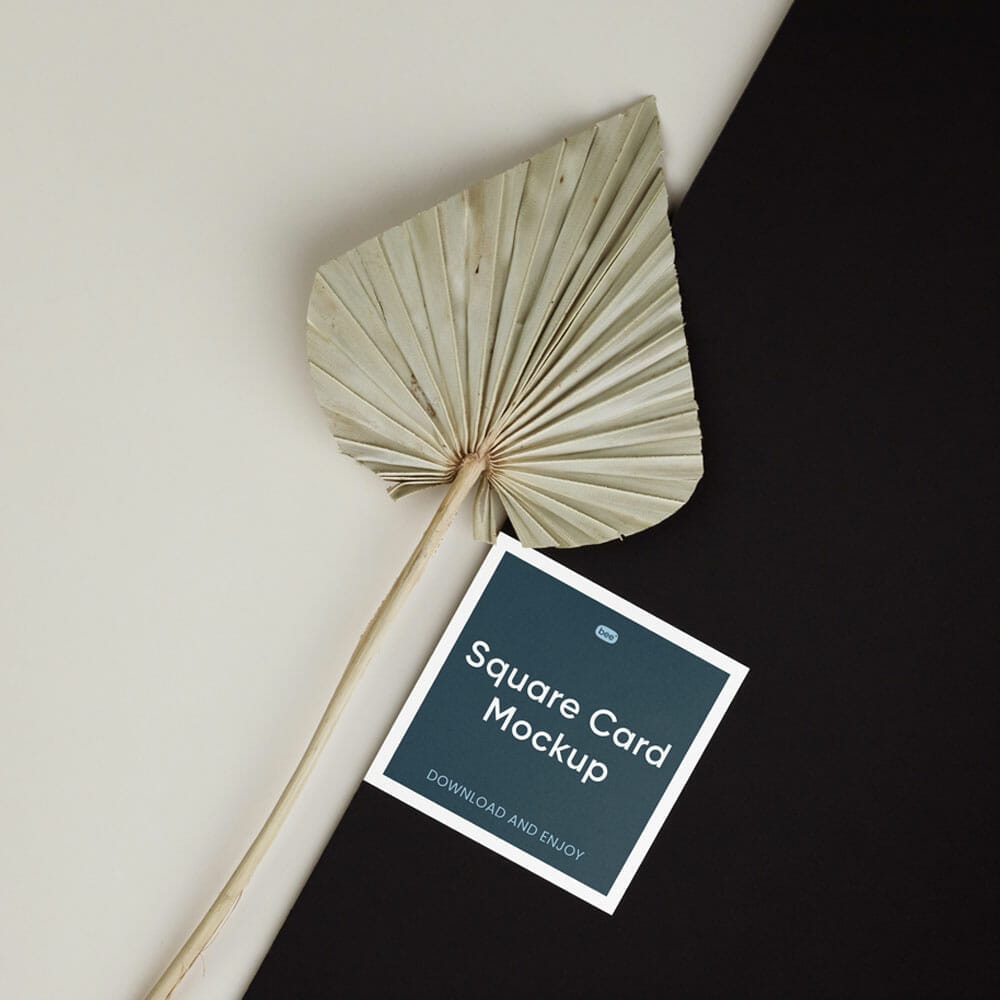 Free Square Card With Leaf Mockup
