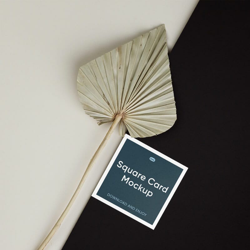 Free Square Card With Leaf Mockup