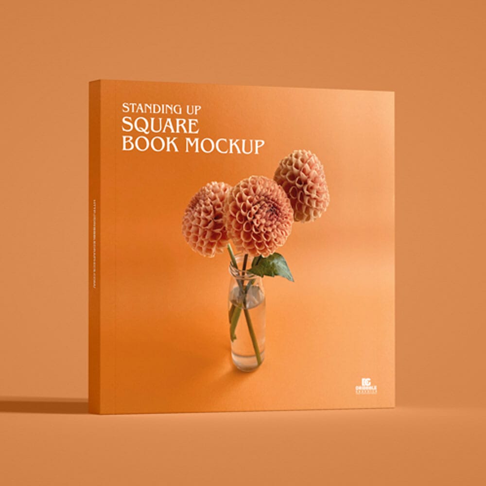 Free Standing Up Square Book Mockup