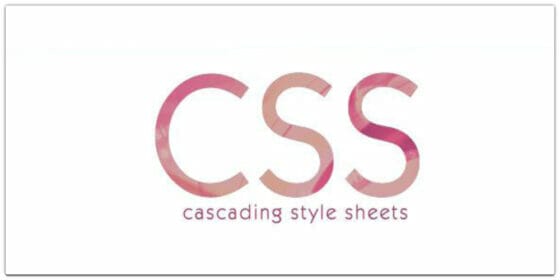 CSS PDF Books For Web Designers » CSS Author