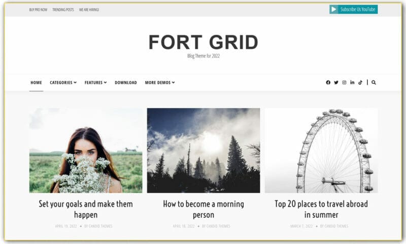 25+ Best Free Masonry Grid Style WordPress Themes 2023 » CSS Author