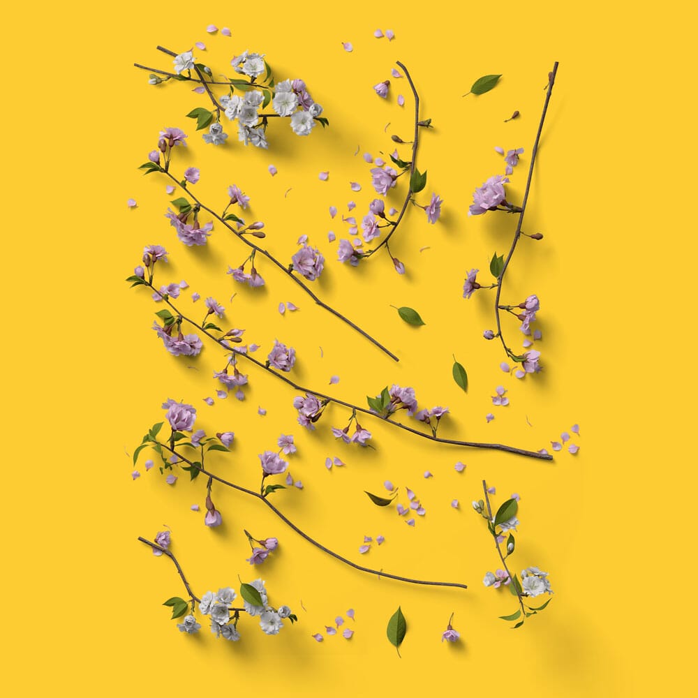 Free Lots Of Cherry Branches Mockup Top View PSD