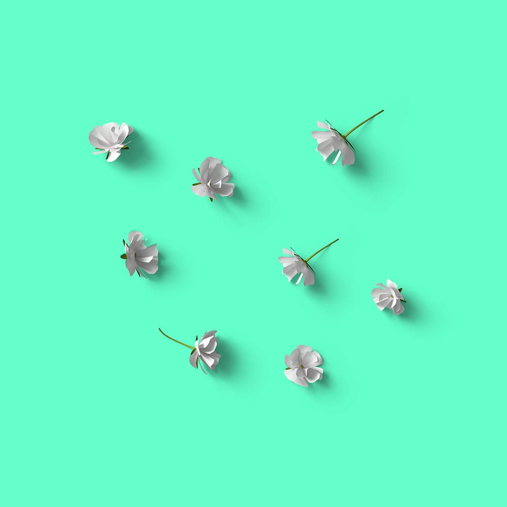 Free Top View Gypsophila Mockup PSD