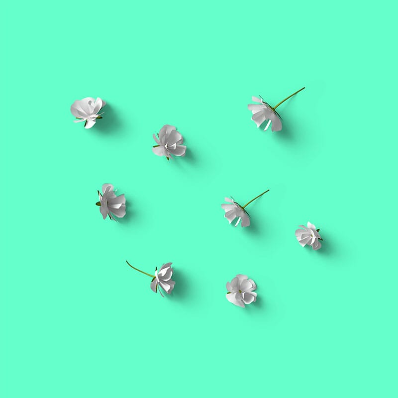 Free Top View Gypsophila Mockup PSD