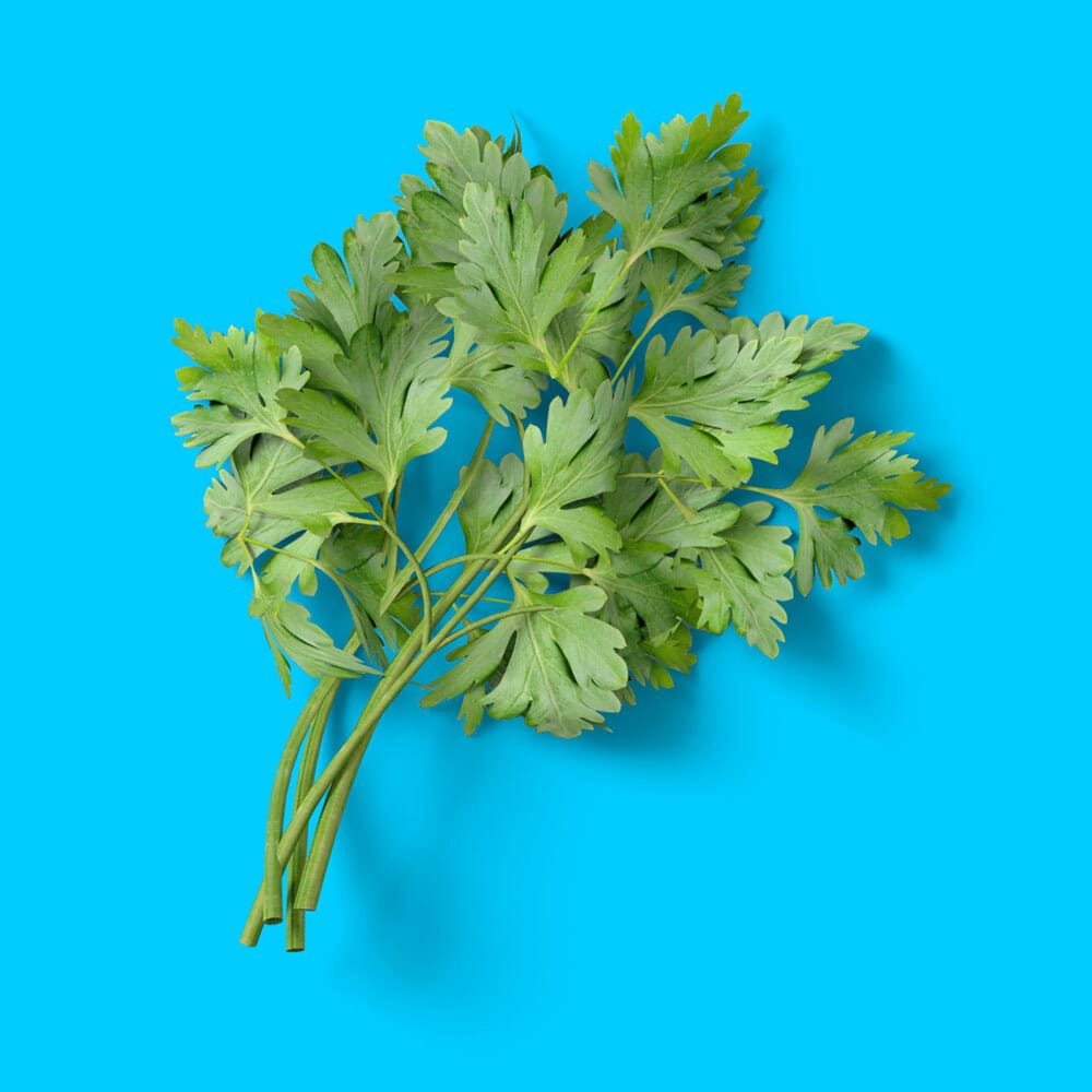 Free Top View Parsley Mockup PSD