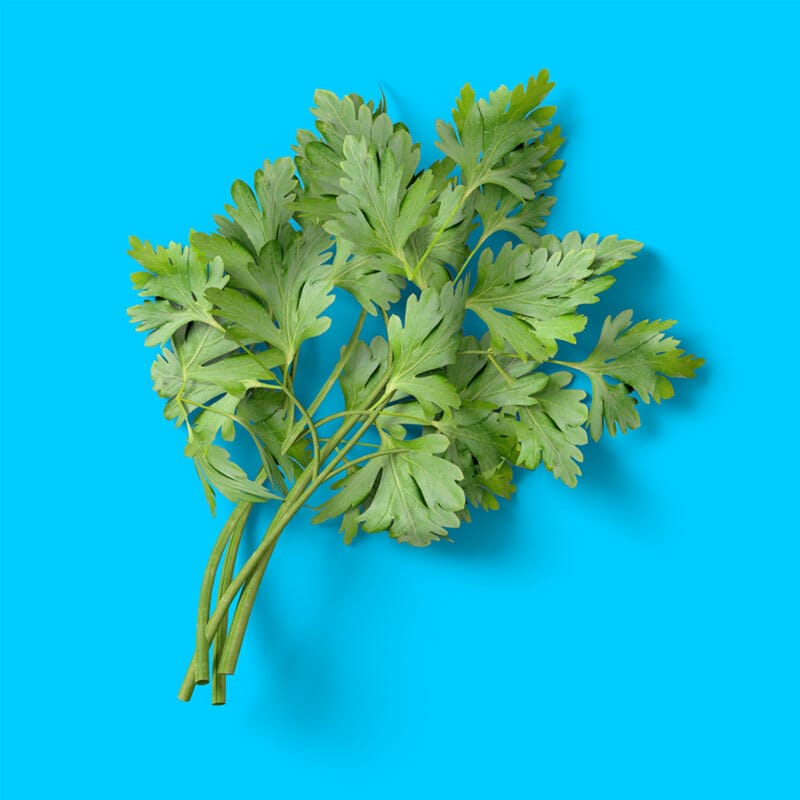 Free Top View Parsley Mockup PSD