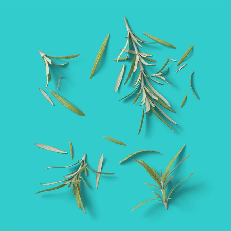 Free Top View Rosemary Mockup PSD