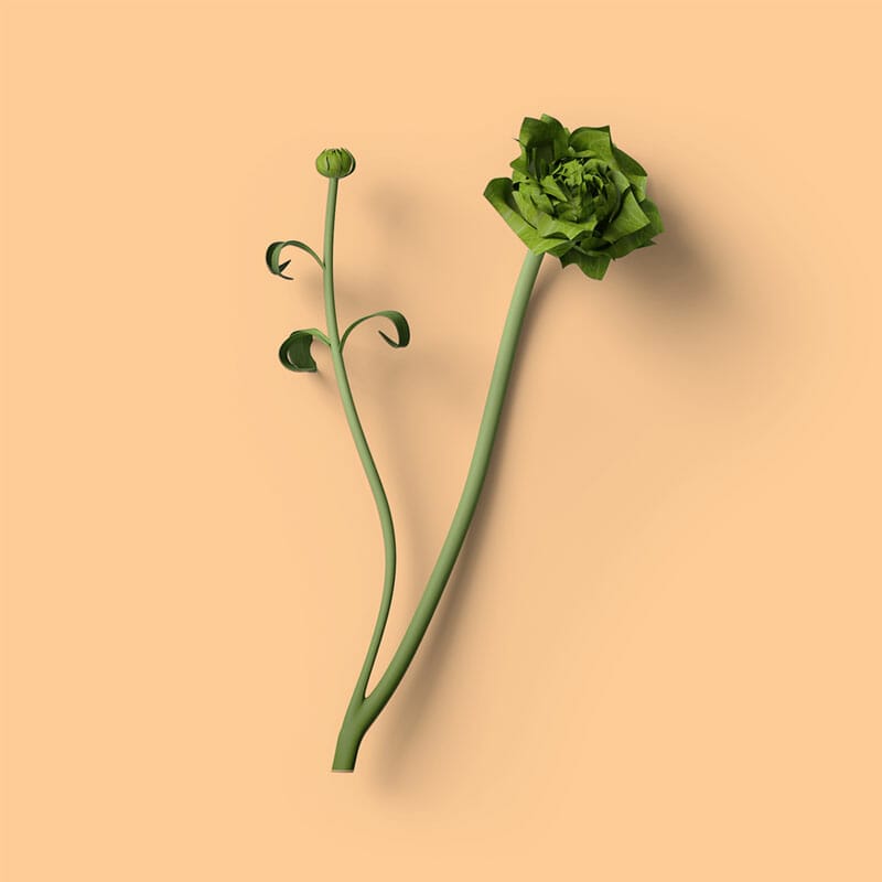 Free Top View Ruskus Mockup PSD