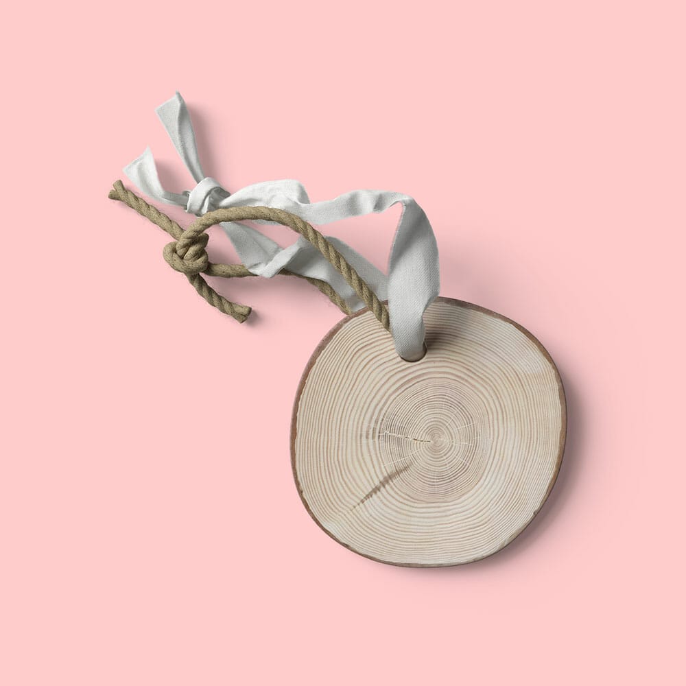 Free Top View Tree Cut On Rope Mockup PSD