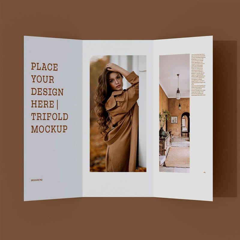 Free Tri-Fold Brochure Mockup PSD