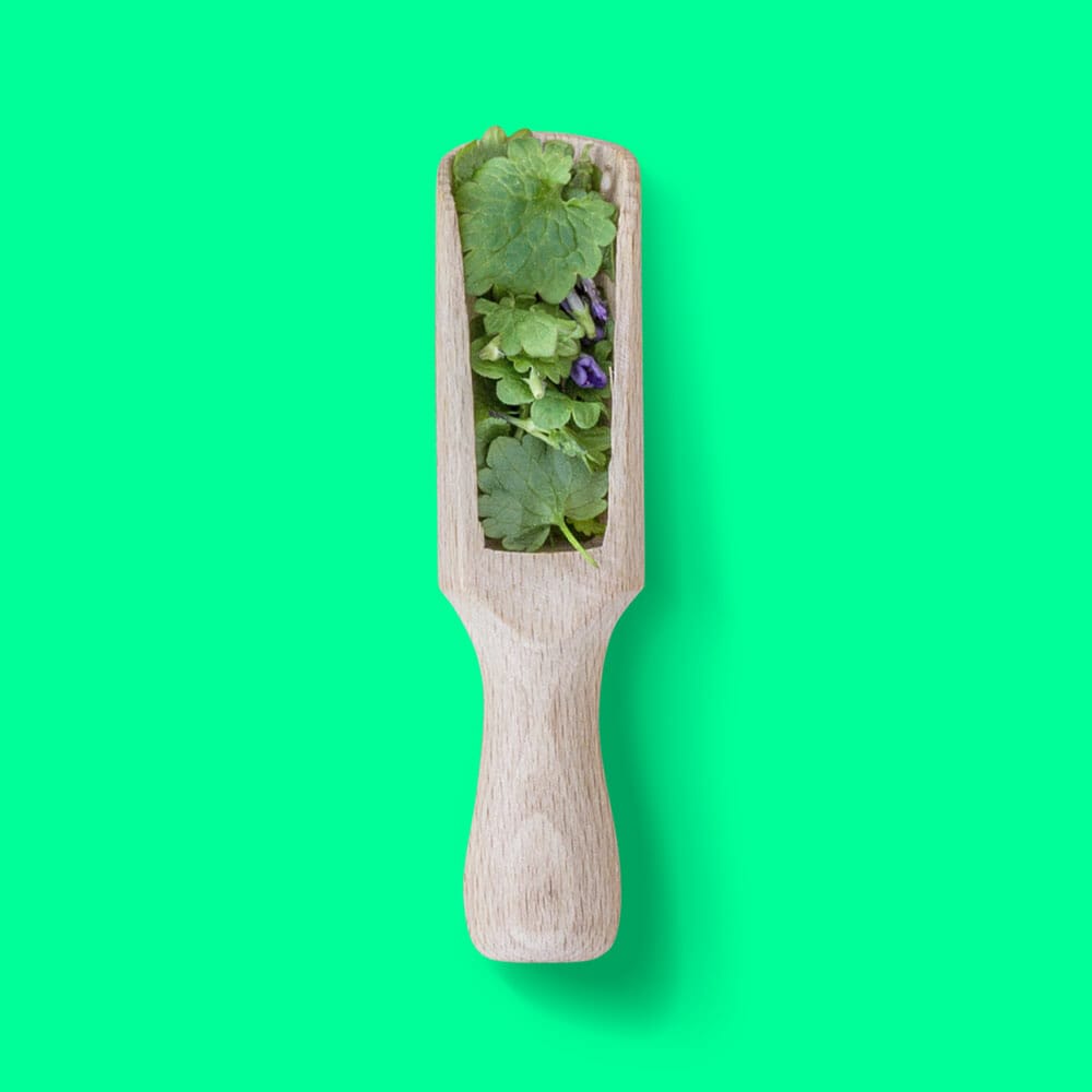 Free Wooden Spatula With Herbs Mockup Top View PSD