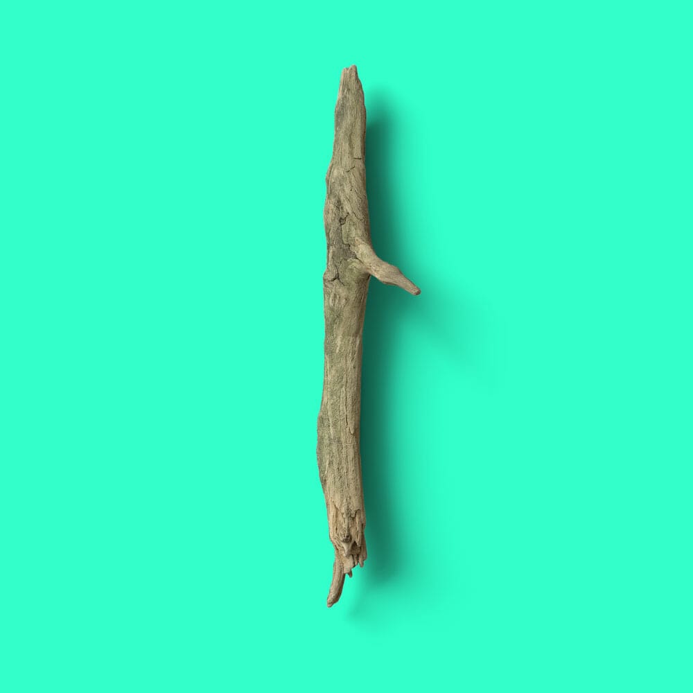 Top View Free Branch Mockup PSD