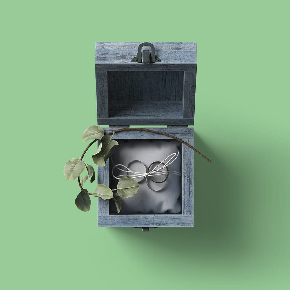 Free Top View Box With Rings And Branch Mockup PSD