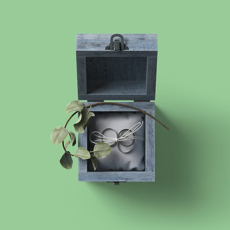 Free Top View Box With Rings And Branch Mockup PSD