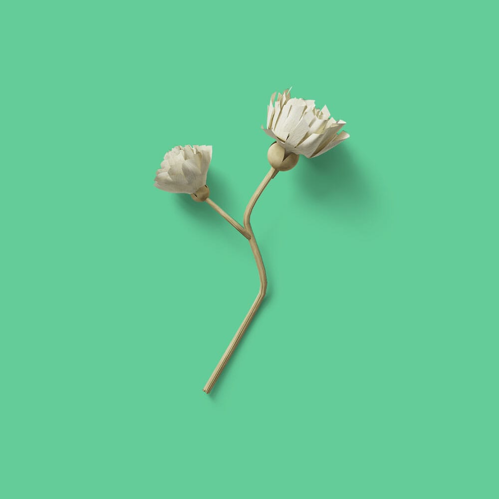 Free Top View Dry Flower Mockup PSD
