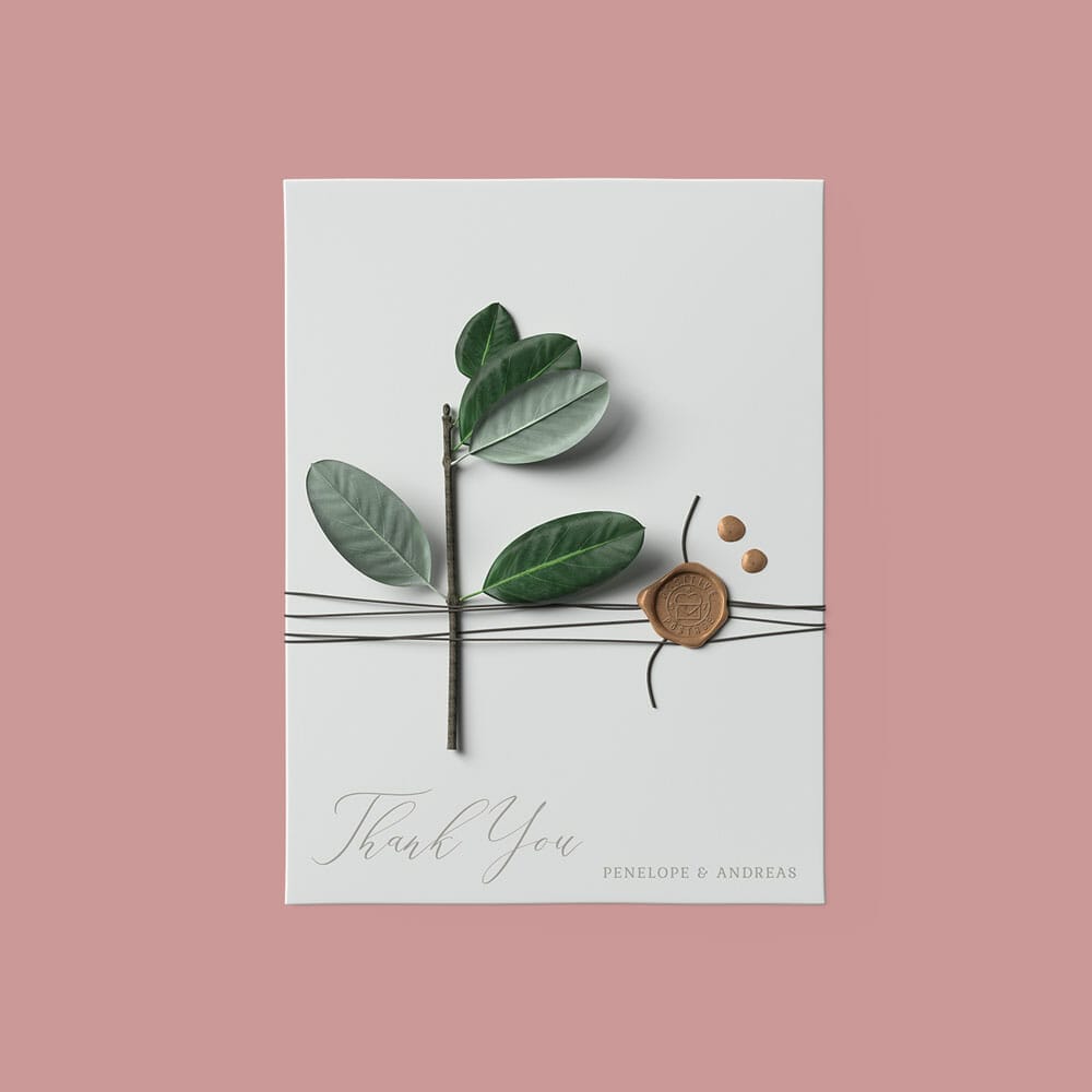 Free Top View Envelope With Ficus Mockup PSD