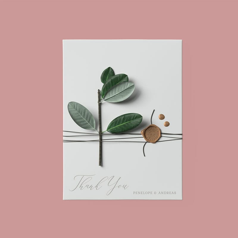 Free Top View Envelope With Ficus Mockup PSD
