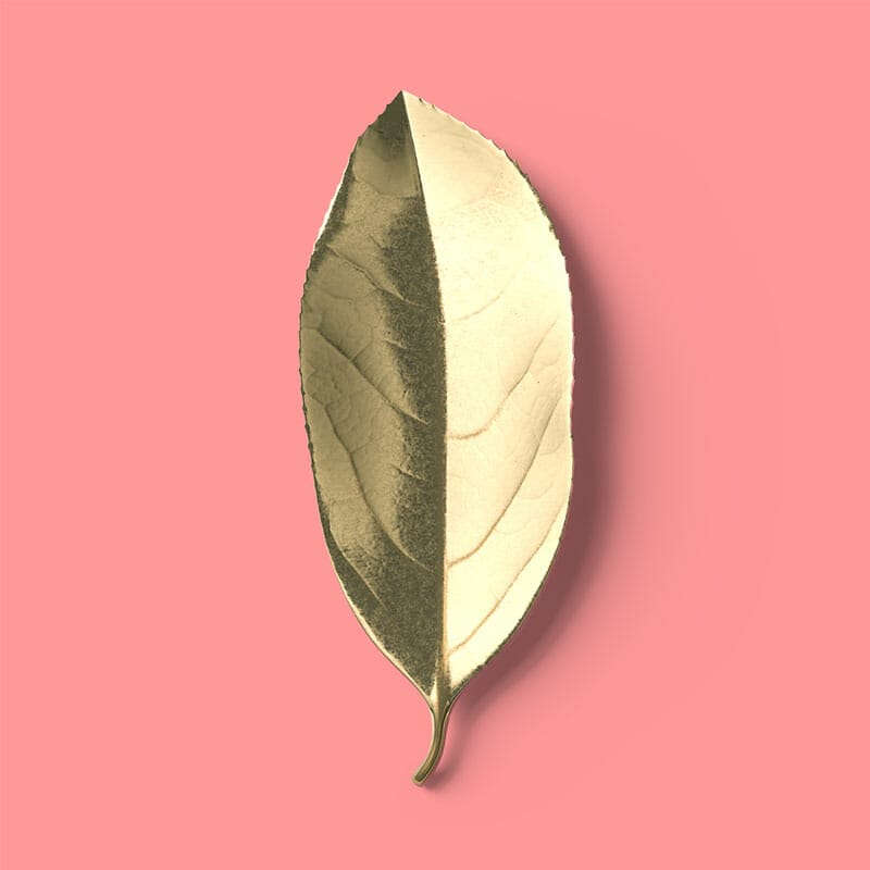 Free Top View Golden Leaf Mockup PSD