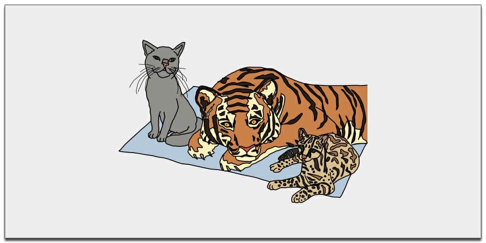 Best Free JavaScript Books 8 JavaScript For Cats