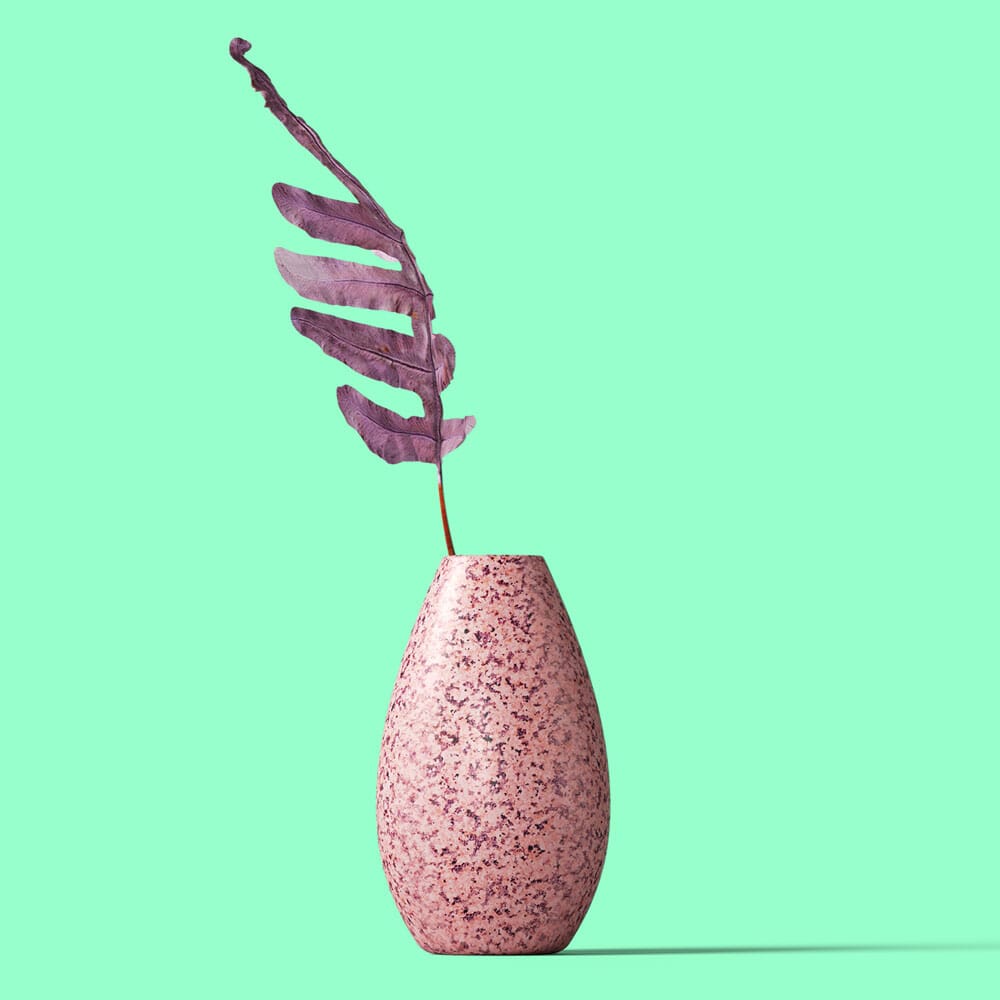 Free Front View Plant In Vase Mockup PSD