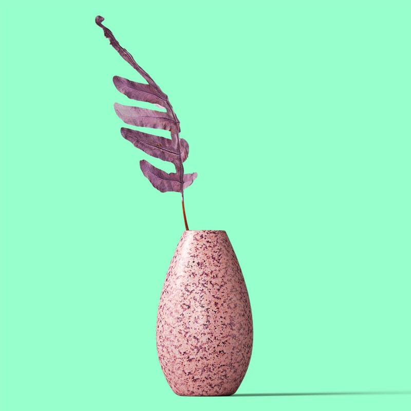 Free Front View Plant In Vase Mockup PSD