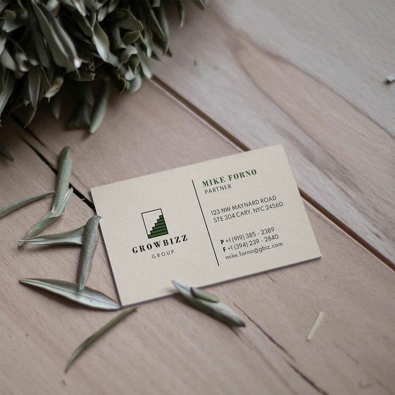 Free Vintage Business Card Mockup PSD