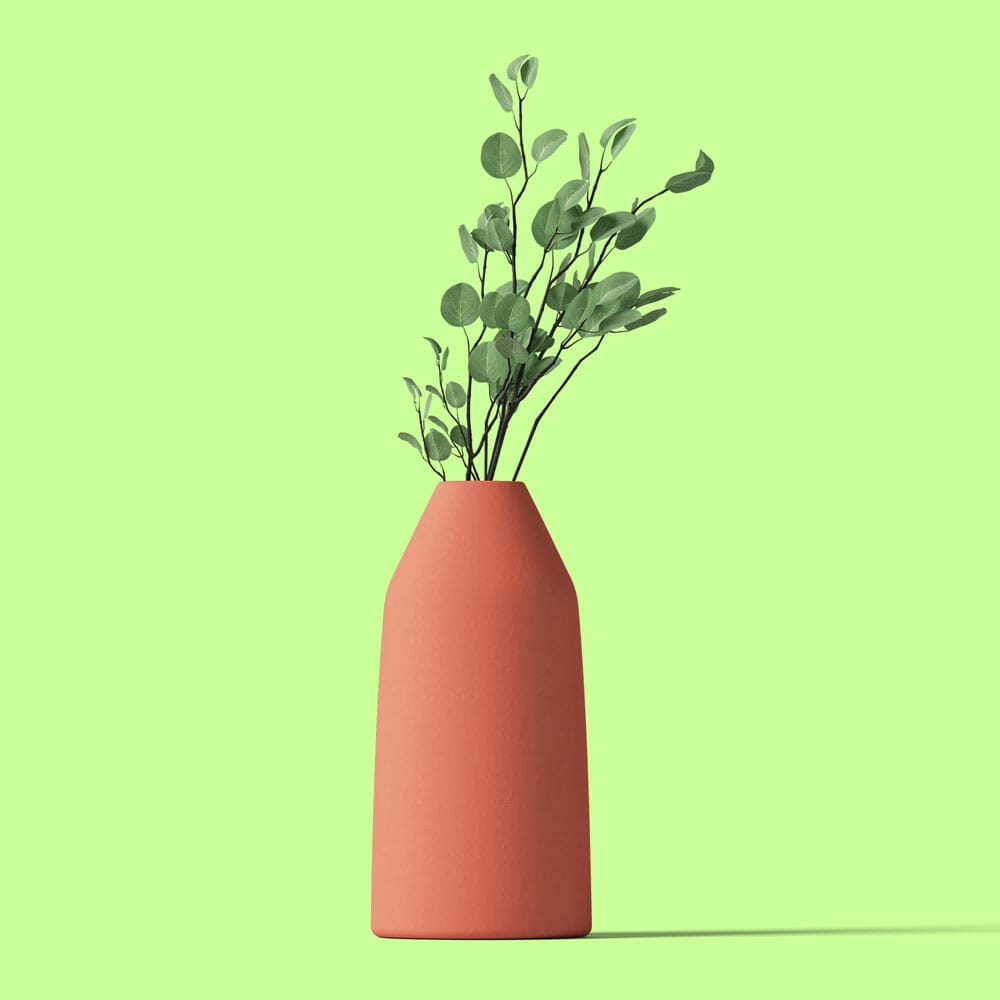 Front View Free Eucalyptus In Vase Mockup PSD
