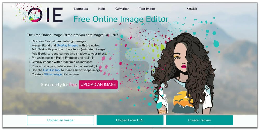 Best Photo and Video Editing Tools 27 Online Image Editor