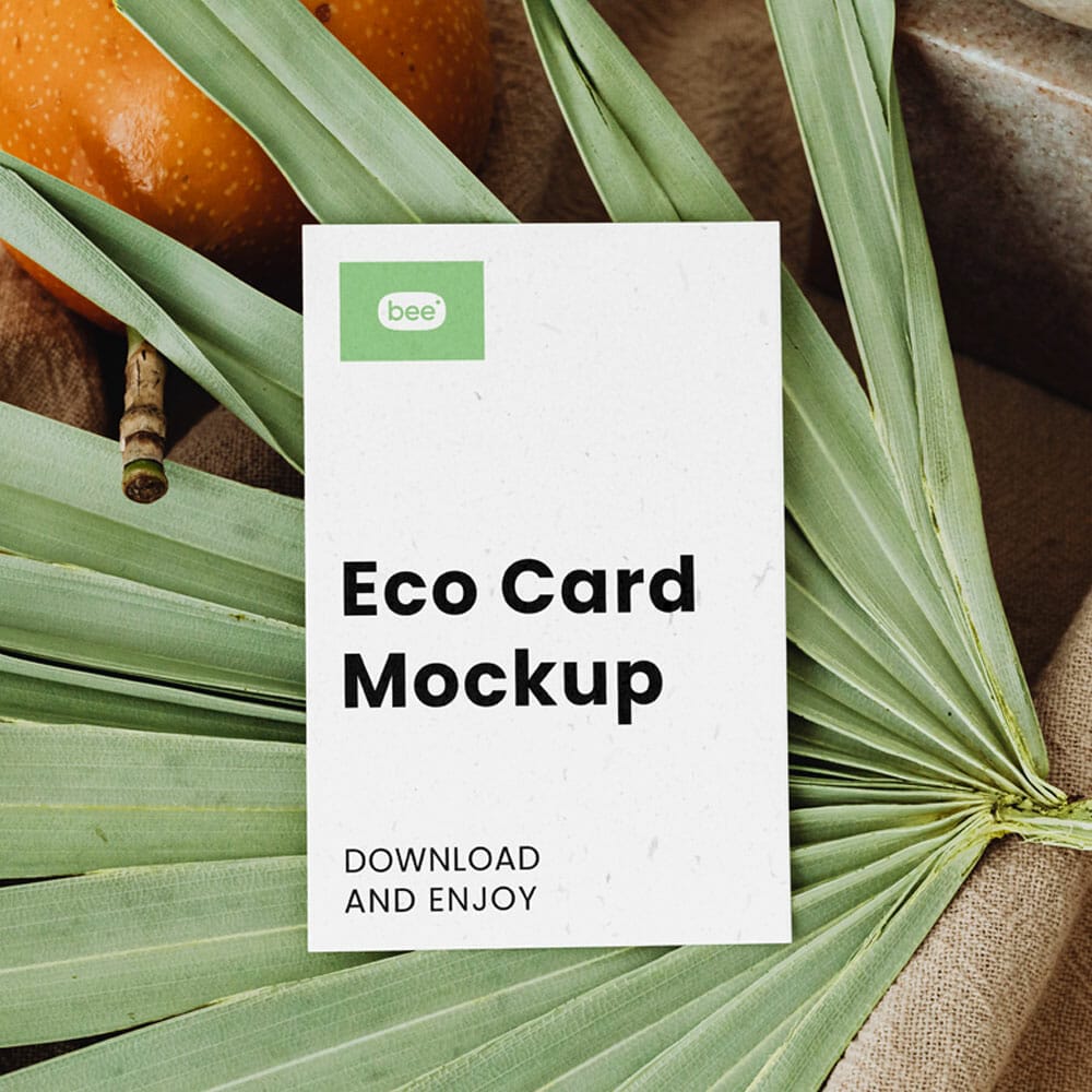 Free Business Card On Leaf Mockup PSD