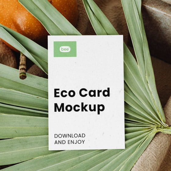 Free Business Card On Leaf Mockup PSD