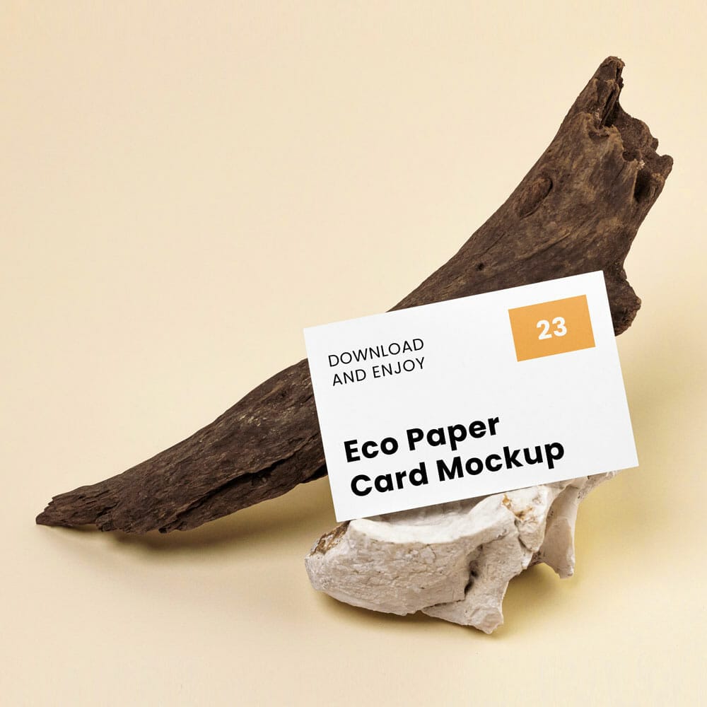 Free Business Card With Branch Mockup PSD