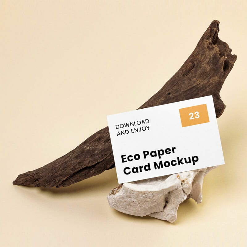 Free Business Card With Branch Mockup PSD